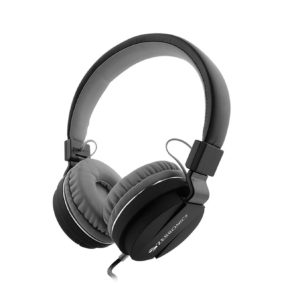 Zebronics Storm Headphones with Mic