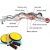 Double Ab Wheel Roller Core Abdominal Workout